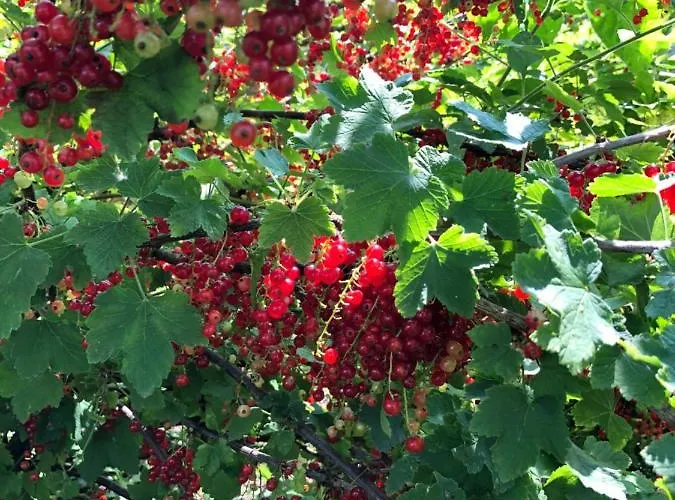 Le Galvani Будинок відпочинку